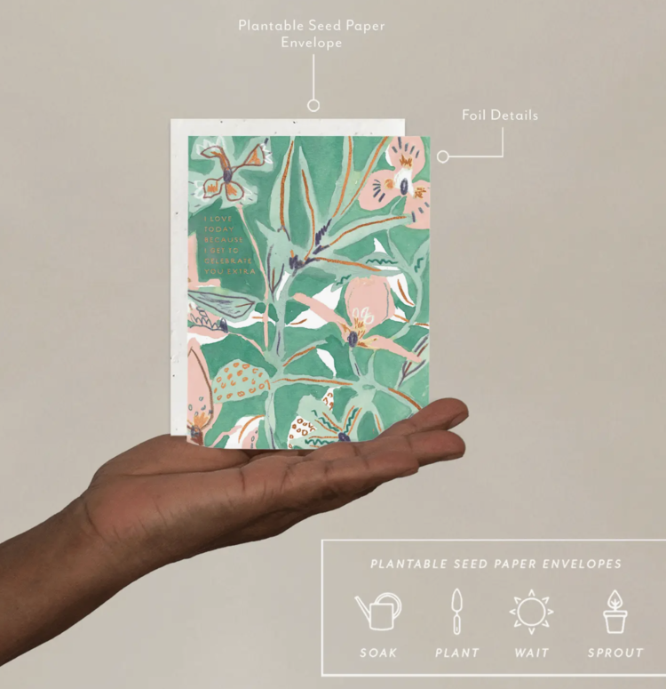 Seedlings Celebrate You