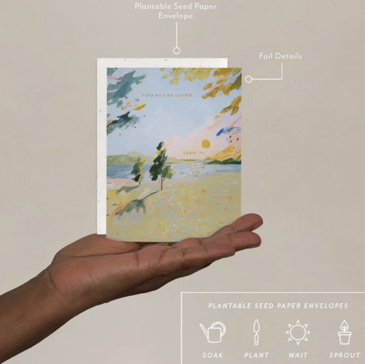 Seedlings Sunset Picnics