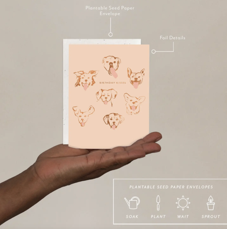 Seedlings Dog Kisses