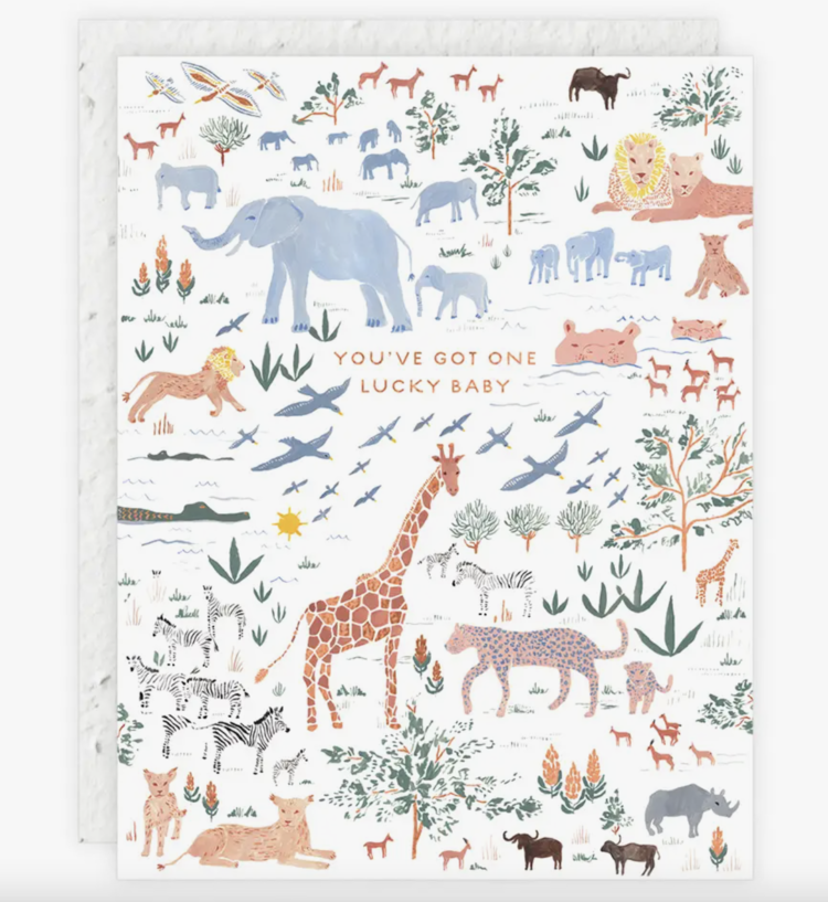 Seedlings Lucky Baby