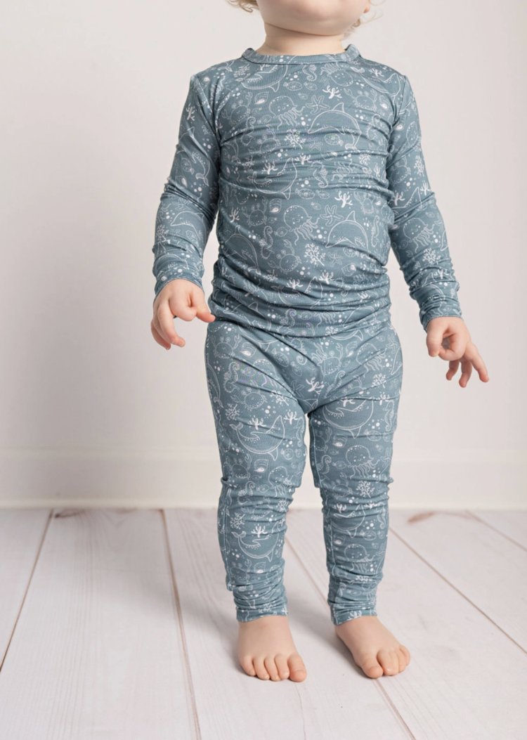 Butterscotch Babies Bamboo Toddler Two-Piece Pajama
