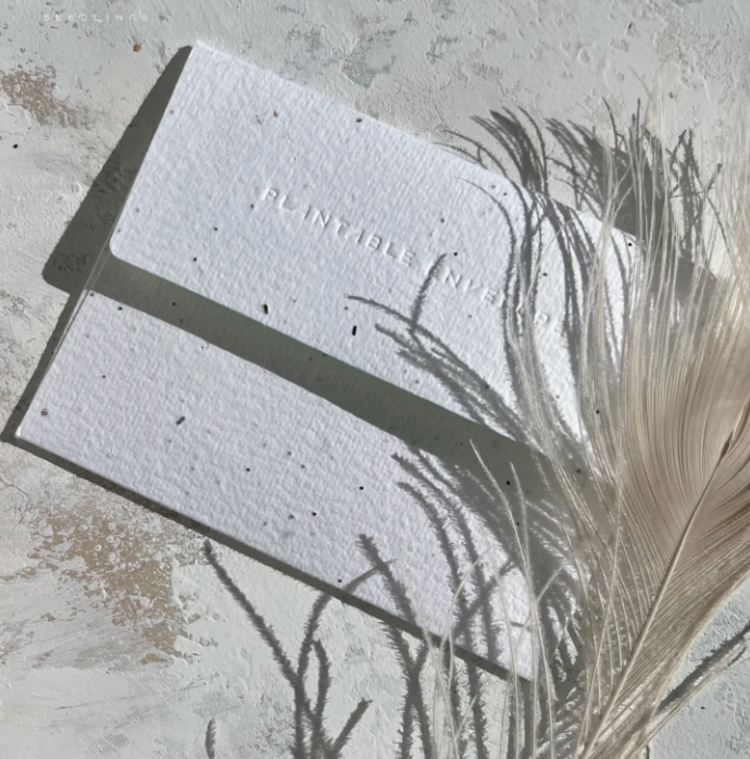 Seedlings Birthday Dog