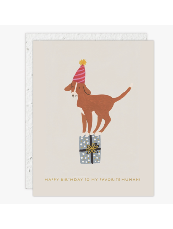 Seedlings Birthday Dog