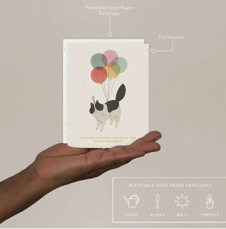 Seedlings Birthday Kitty