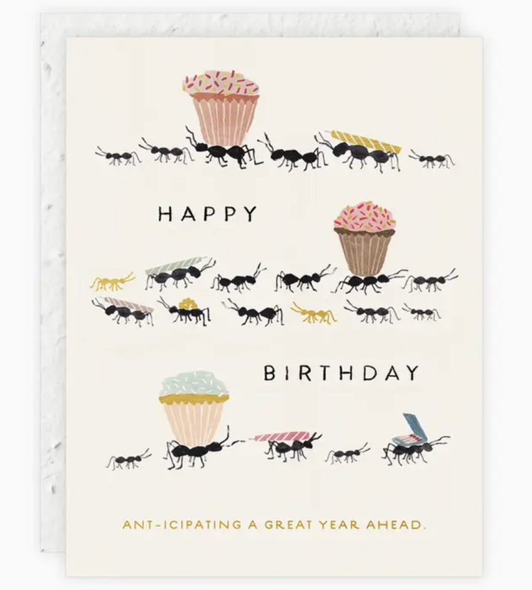 Seedlings Ant-icipating A Great Year