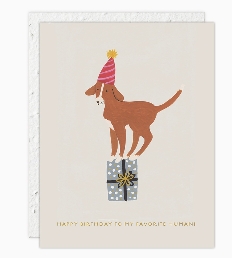 Seedlings Birthday Dog