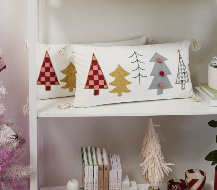 Accent Decor Brights Pillow