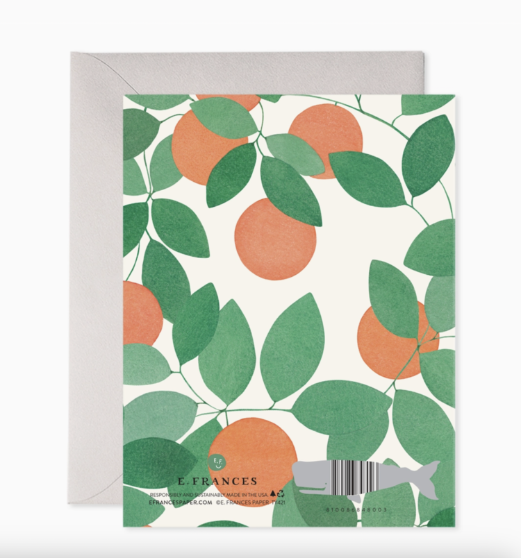 E. Frances Paper Studio Orange Grove Thank You Box Set
