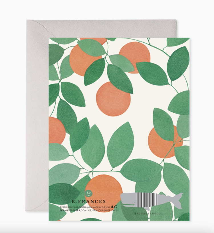 E. Frances Paper Studio Orange Grove Thank You Box Set