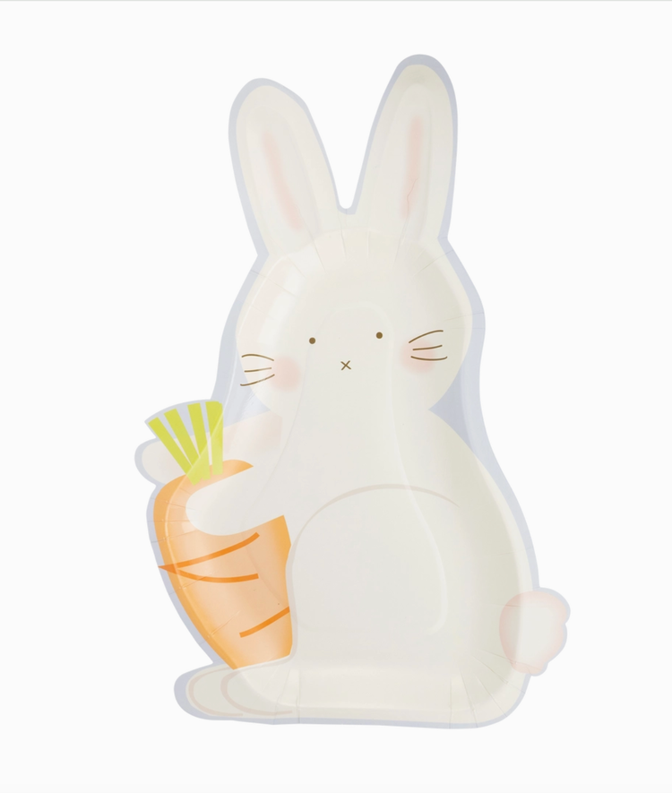 My Mind's Eye Bunny with Carrot Paper Plate