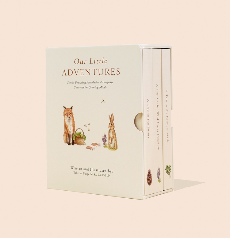 Paige Tate & Co. Our Little Adventures Box Set