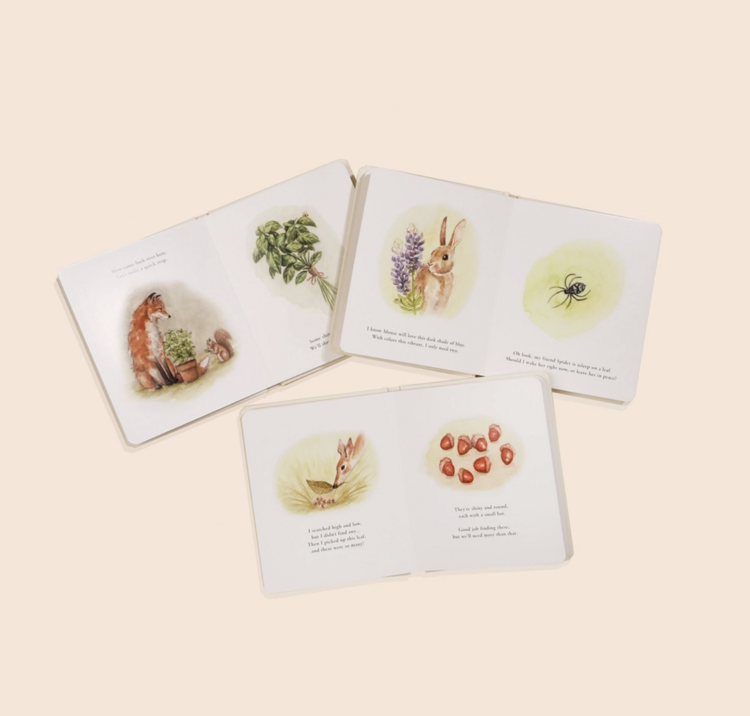 Paige Tate & Co. Our Little Adventures Box Set