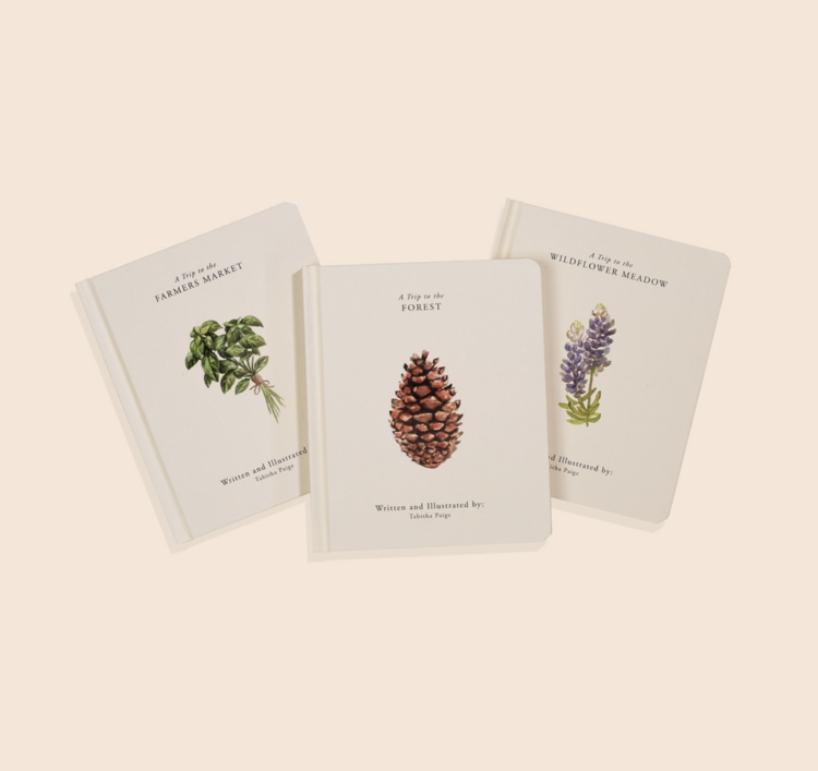 Paige Tate & Co. Our Little Adventures Box Set