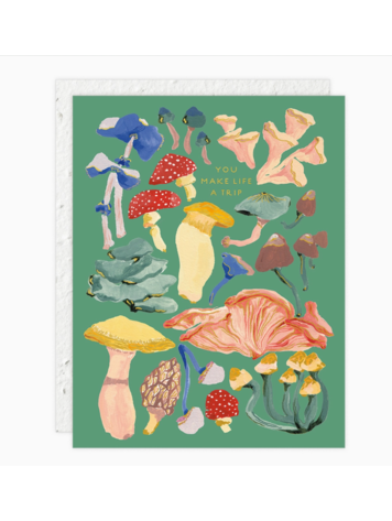 Seedlings Shrooms - Love