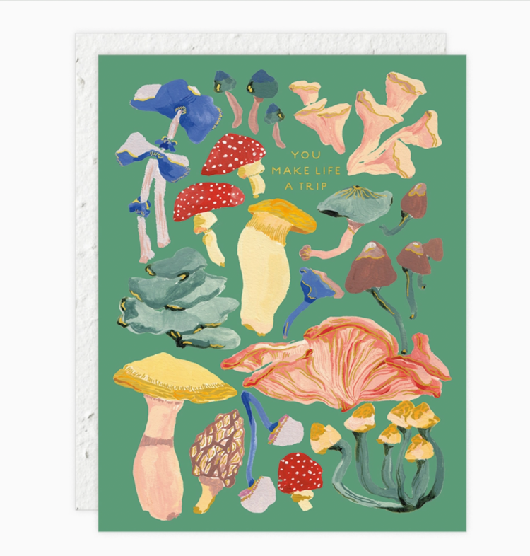 Seedlings Shrooms - Love