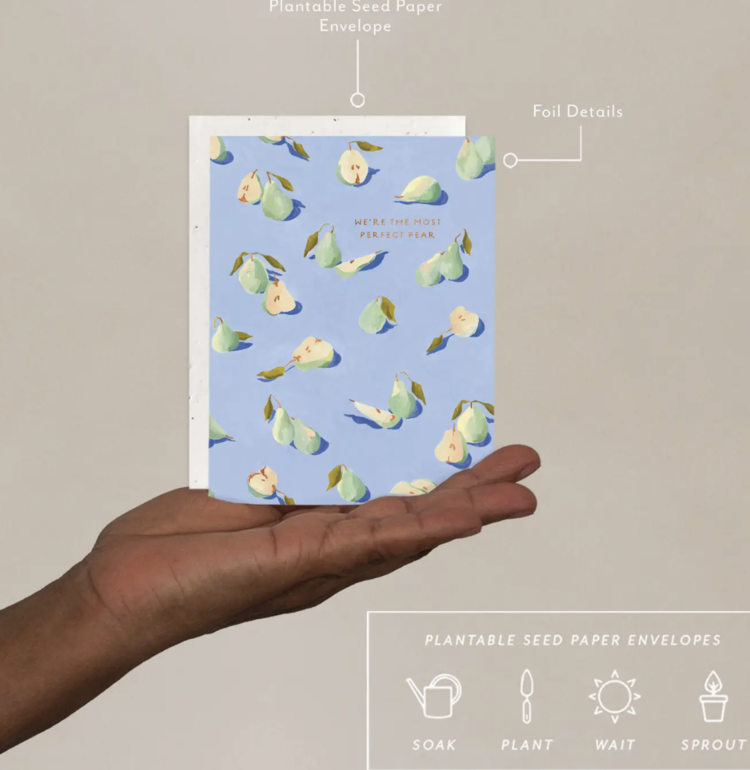 Seedlings Perfect Pear - Love