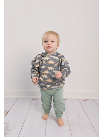 Butterscotch Babies Bamboo Dinosaur Hoodie