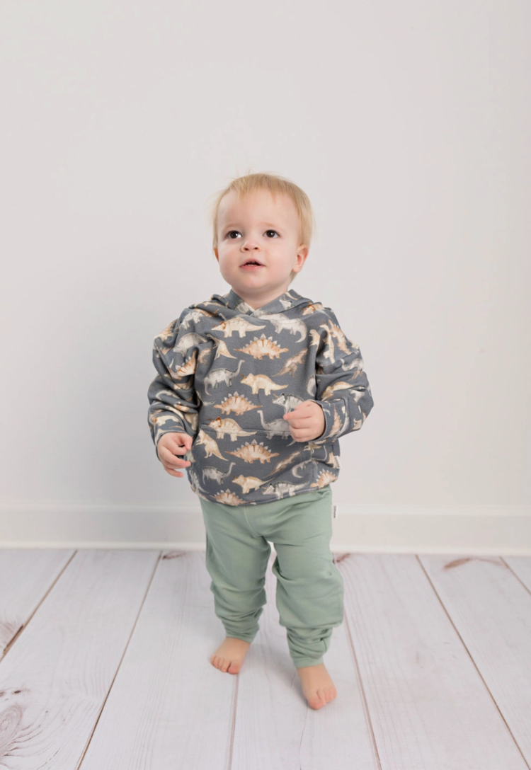 Butterscotch Babies Bamboo Dinosaur Hoodie
