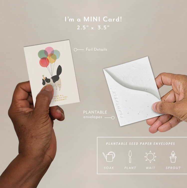 Seedlings Sprout Card