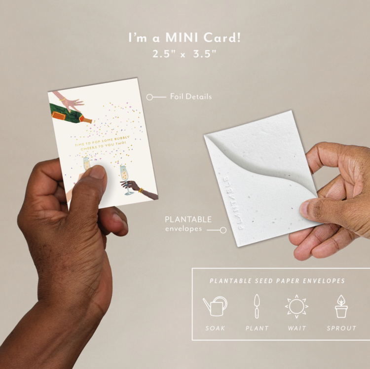 Seedlings Sprout Card