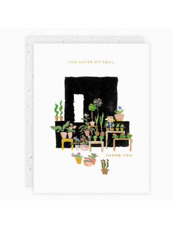 Seedlings Fleuriste