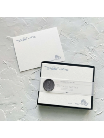 Belle & Union Snail Mail Boxed Notes