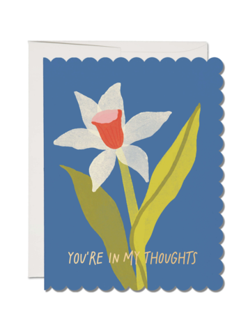 Red Cap Cards Scalloped Daffodil