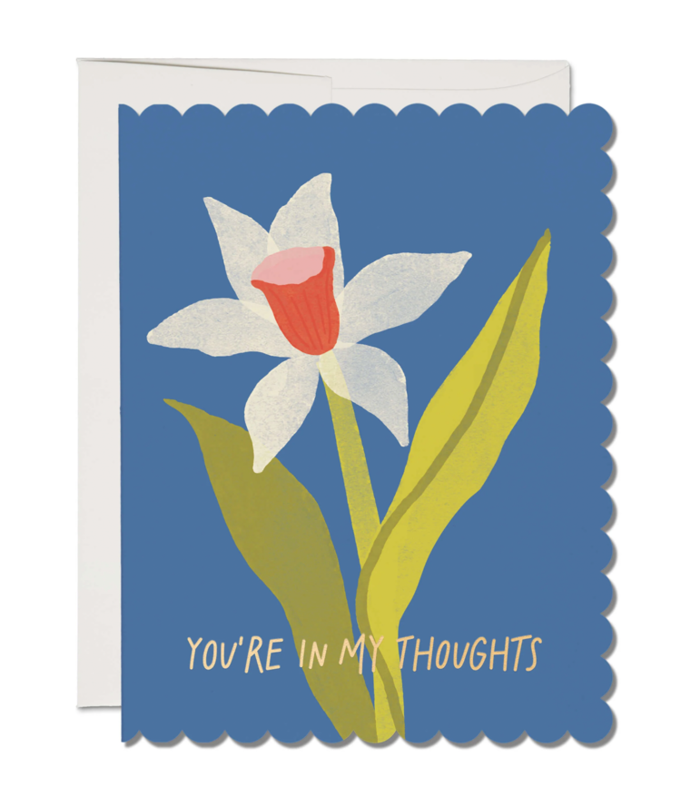 Red Cap Cards Scalloped Daffodil