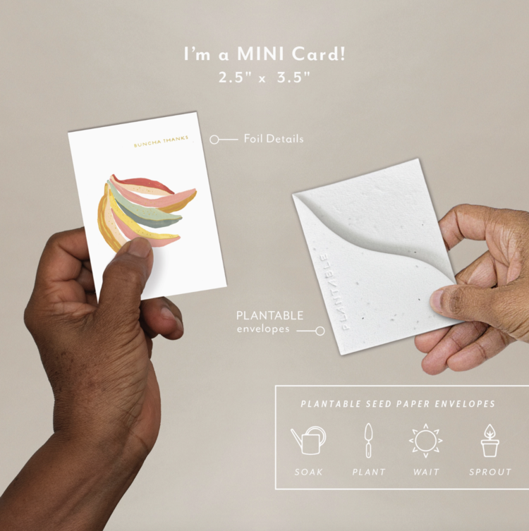 Seedlings Sprout Card