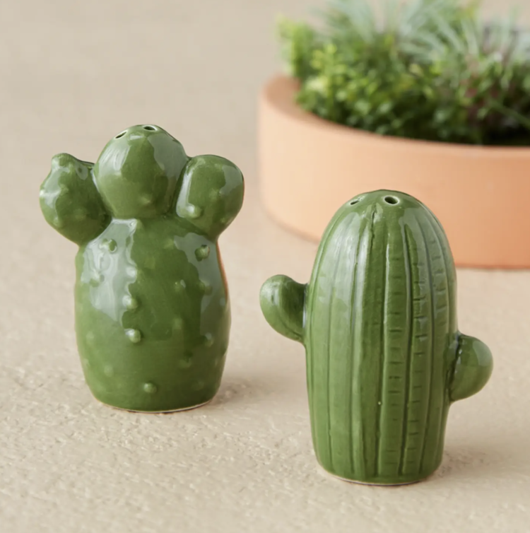 Design Imports Cactus Ceramic Salt & Pepper Shakers