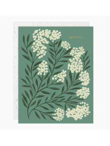 Seedlings Grateful - Thank You