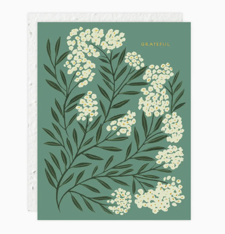 Seedlings Grateful - Thank You