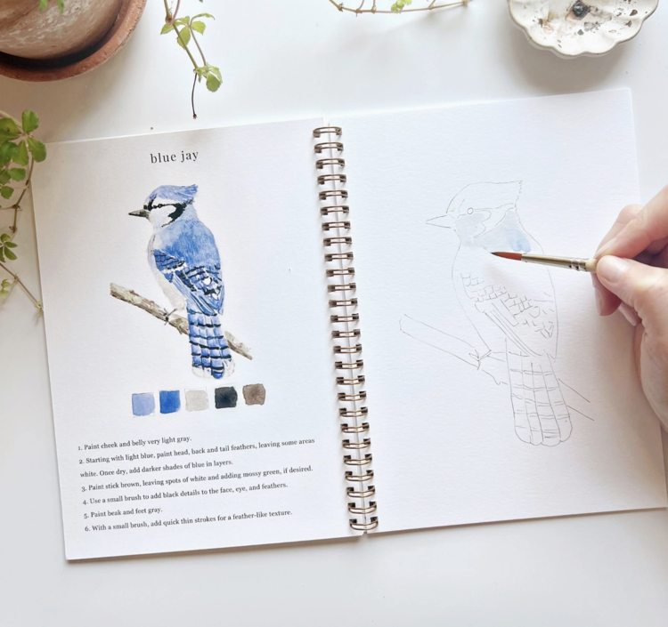 emily lex studio Birds Watercolor Workbook