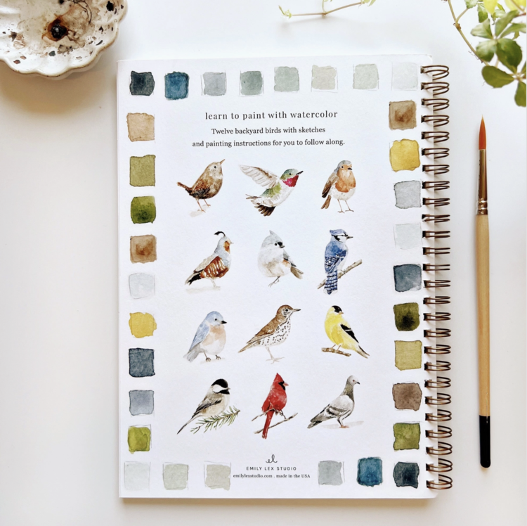 emily lex studio Birds Watercolor Workbook