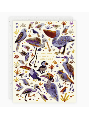 Seedlings Little Bird