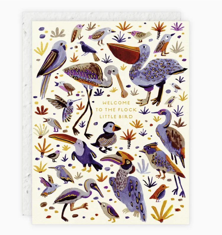 Seedlings Little Bird