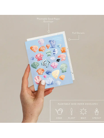 Seedlings Shells Friendship