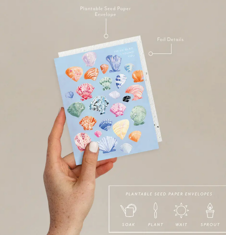 Seedlings Shells Friendship