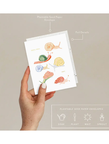 Seedlings Snail Just To Say Hi