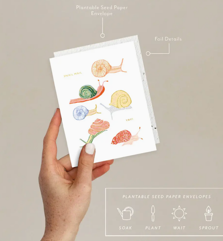 Seedlings Snail Just To Say Hi