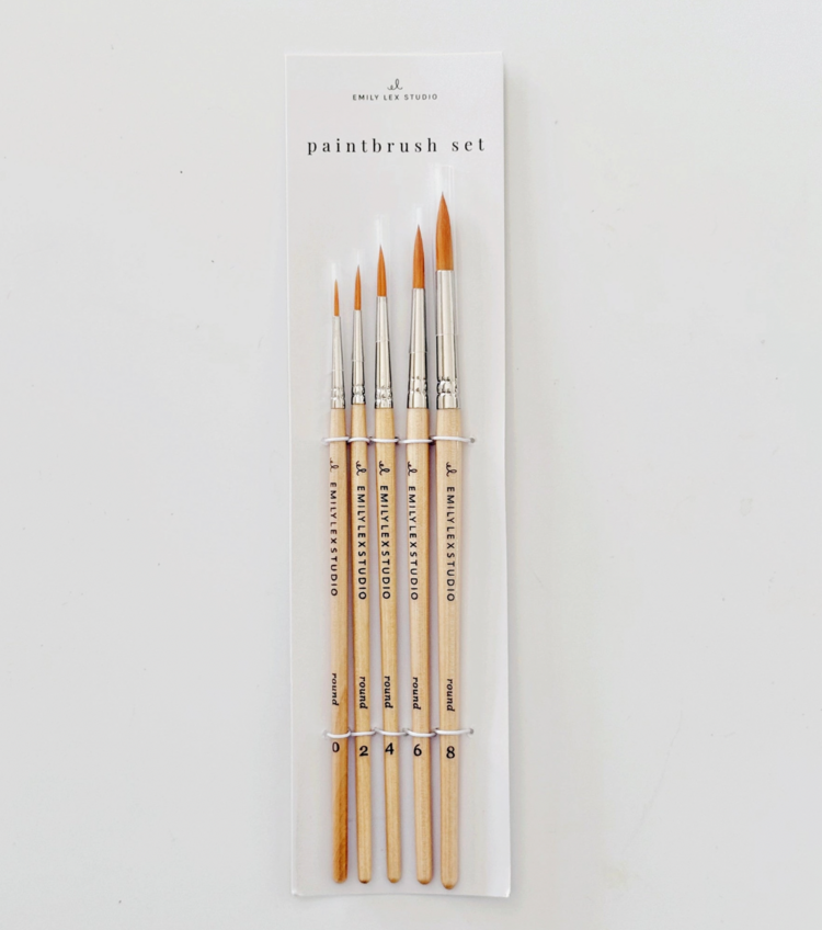 emily lex studio Watercolor Paint Set with Brush