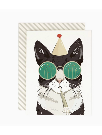 Amy Heitman Birthday Party Cat