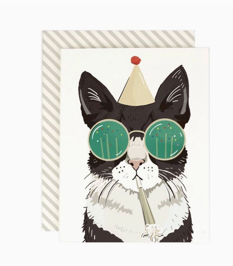 Amy Heitman Birthday Party Cat