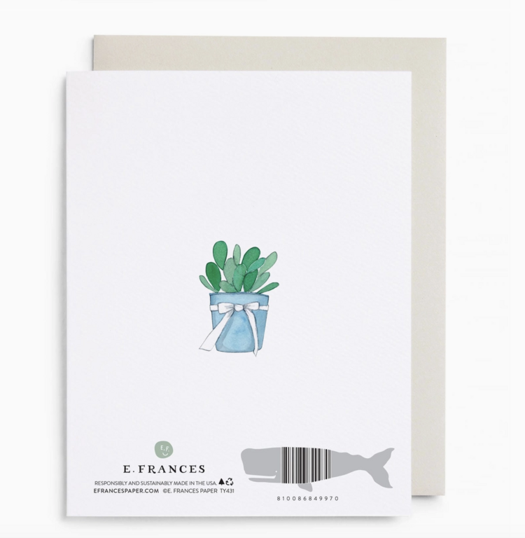 E. Frances Paper Studio Alligator Thank You Boxed Card Set