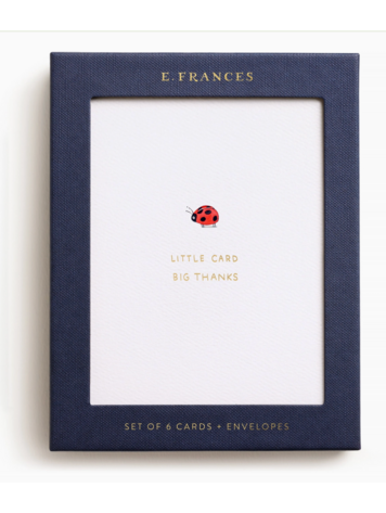 E. Frances Paper Studio Little Card Big Thanks Boxed Card Set