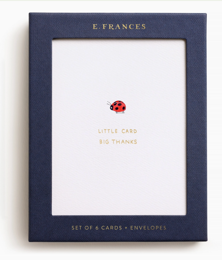 E. Frances Paper Studio Little Card Big Thanks Boxed Card Set