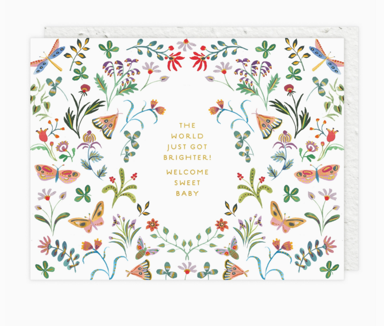 Seedlings Butterfly Garden