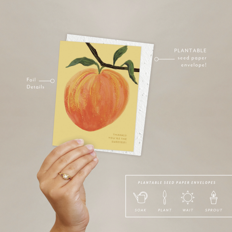 Seedlings Peach - Thank You