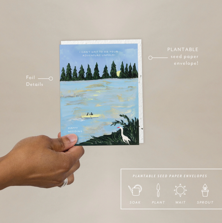 Seedlings The Adventure of Us