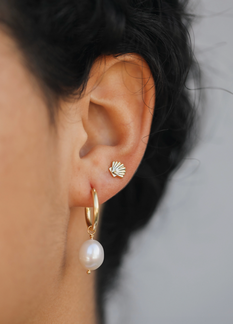 JaxKelly Seashell Earrings